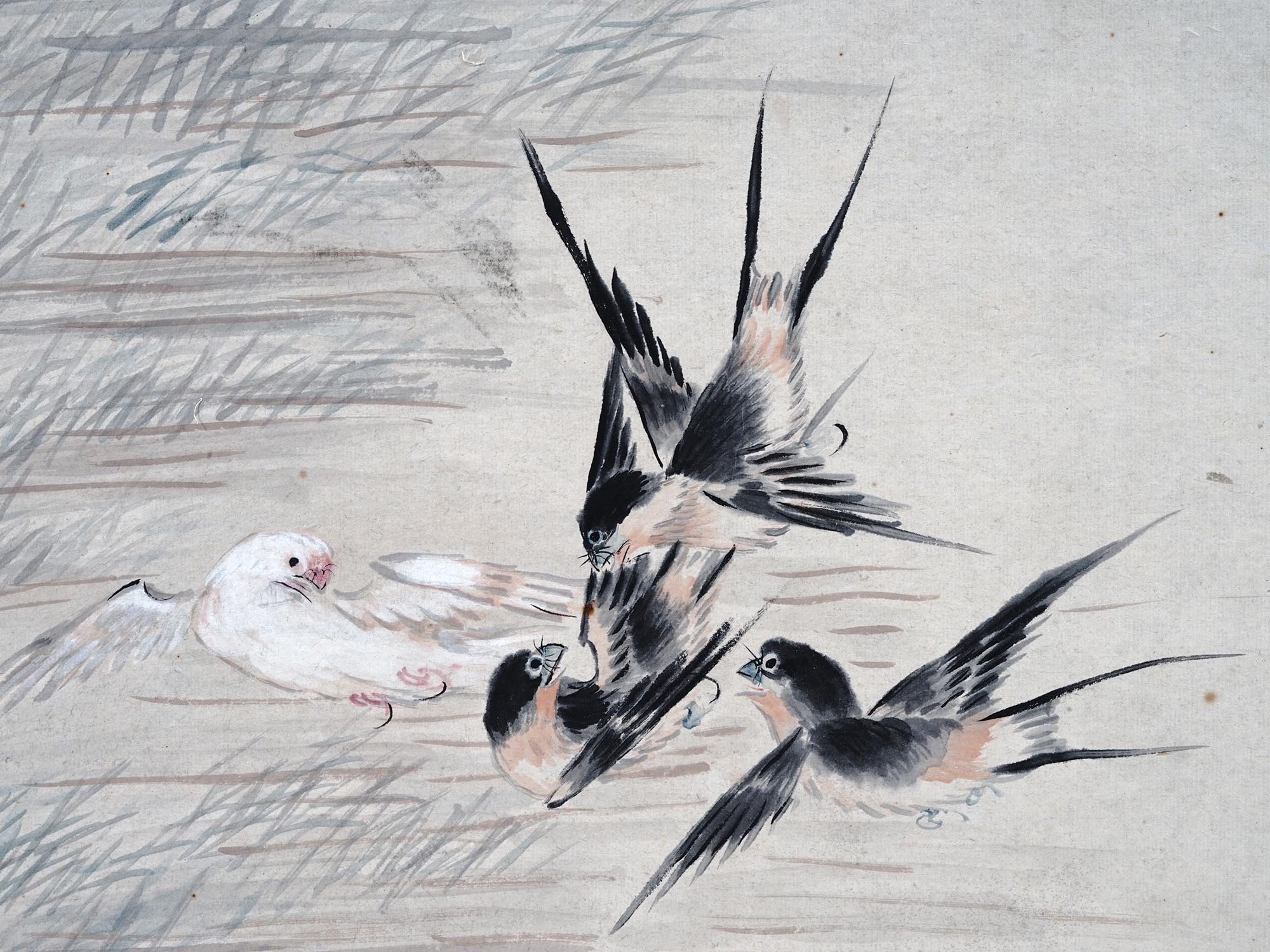 ANTIQUE CHINESE BIRDS WATERCOLOR PAINTING SCROLL PIC-2