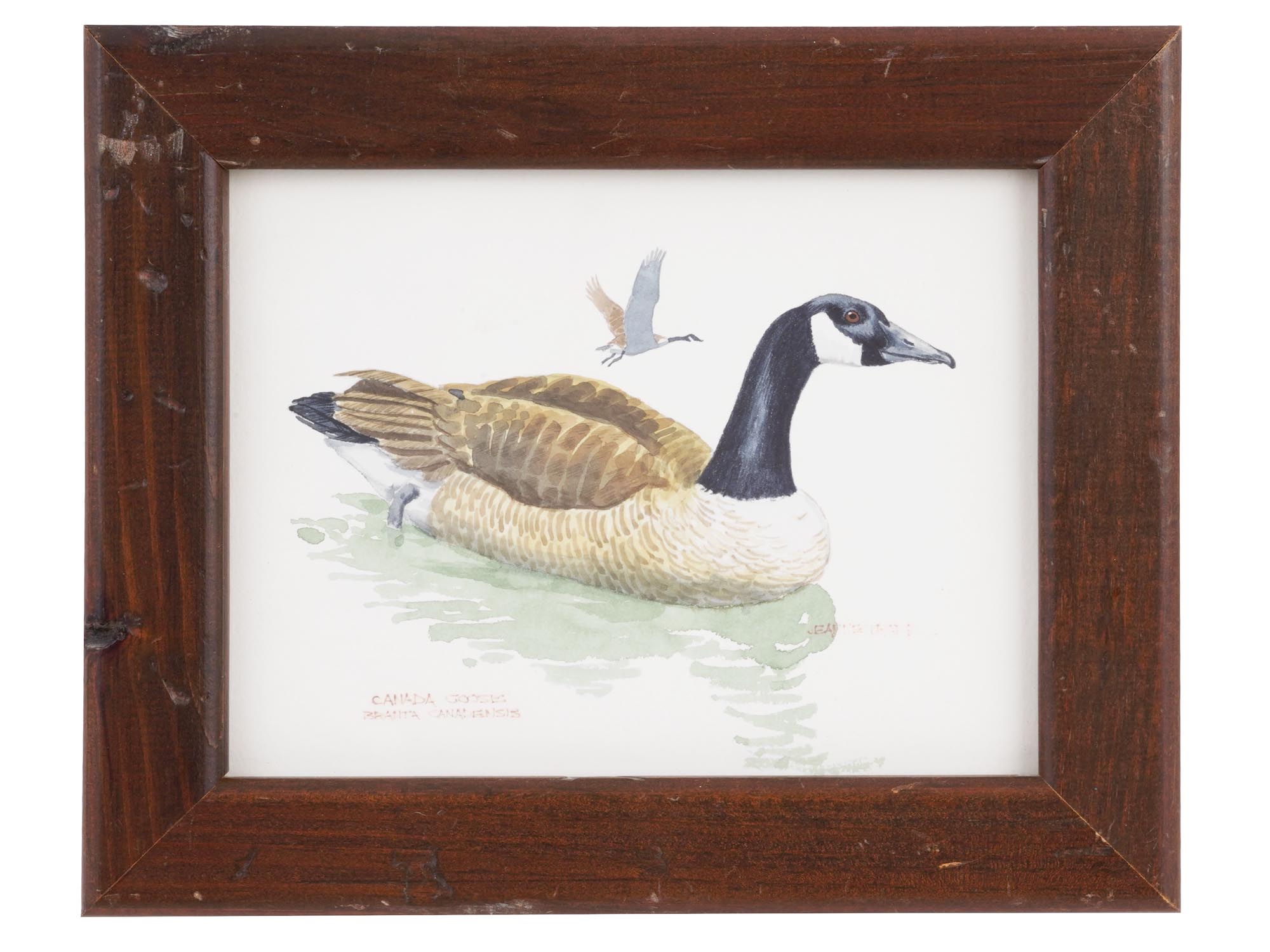 WATERCOLOR PAINTING OF A GOOSE BY JEANNE TRAPP PIC-0