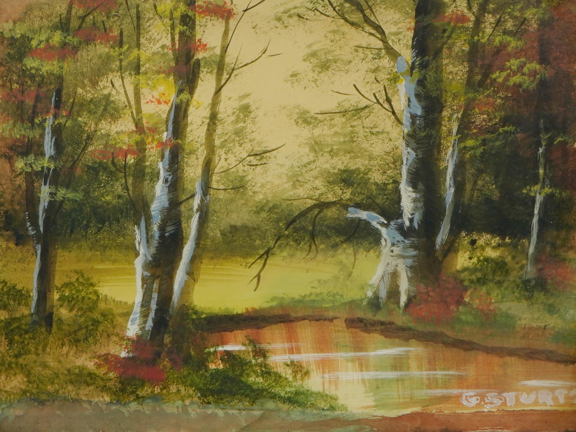 FOREST LANDSCAPE WATERCOLOR PAINTING BY G. STURTZ PIC-1