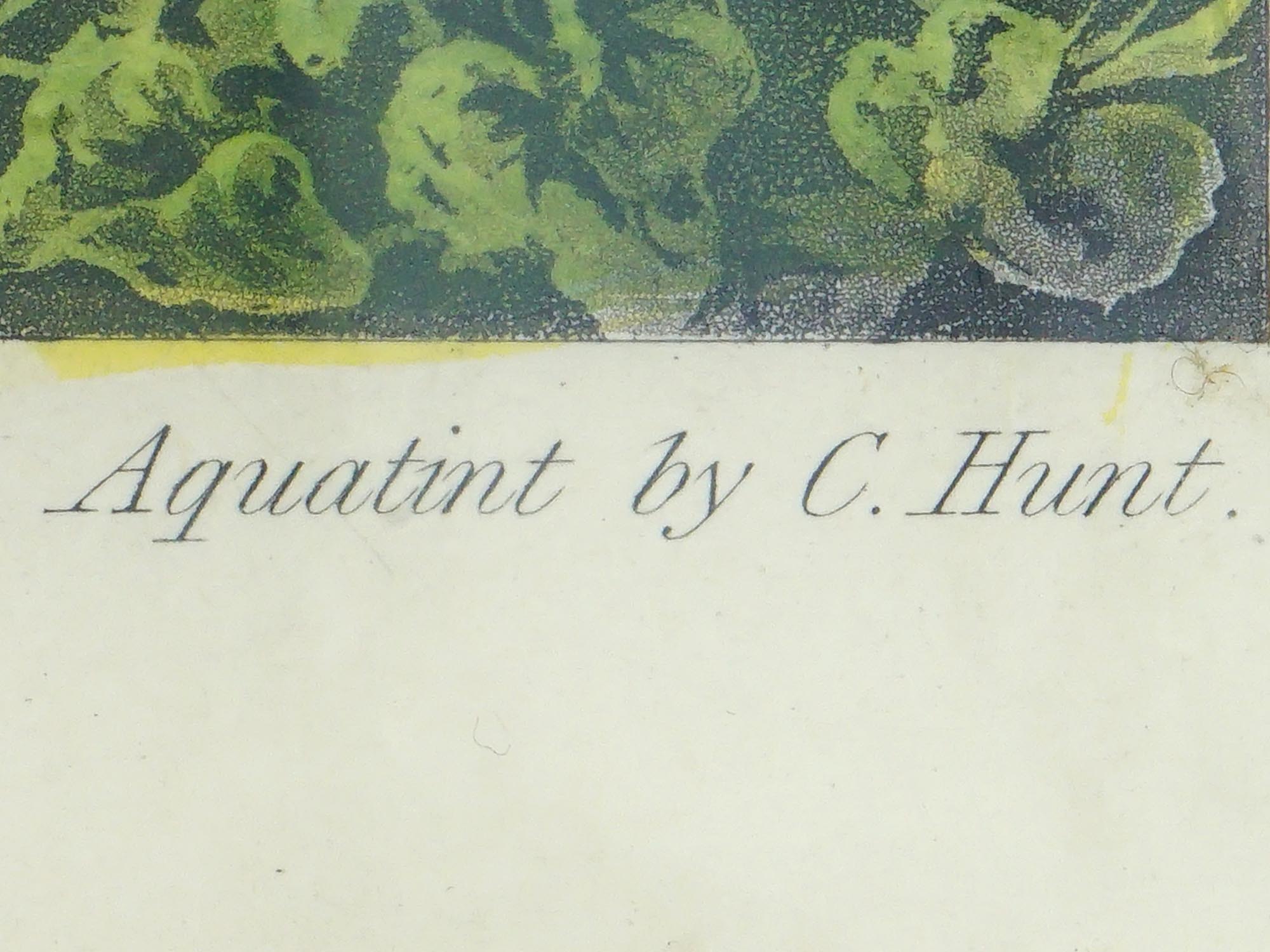 ENGLISH FALLS OF NIAGARA AQUATINT BY CHARLES HUNT PIC-2