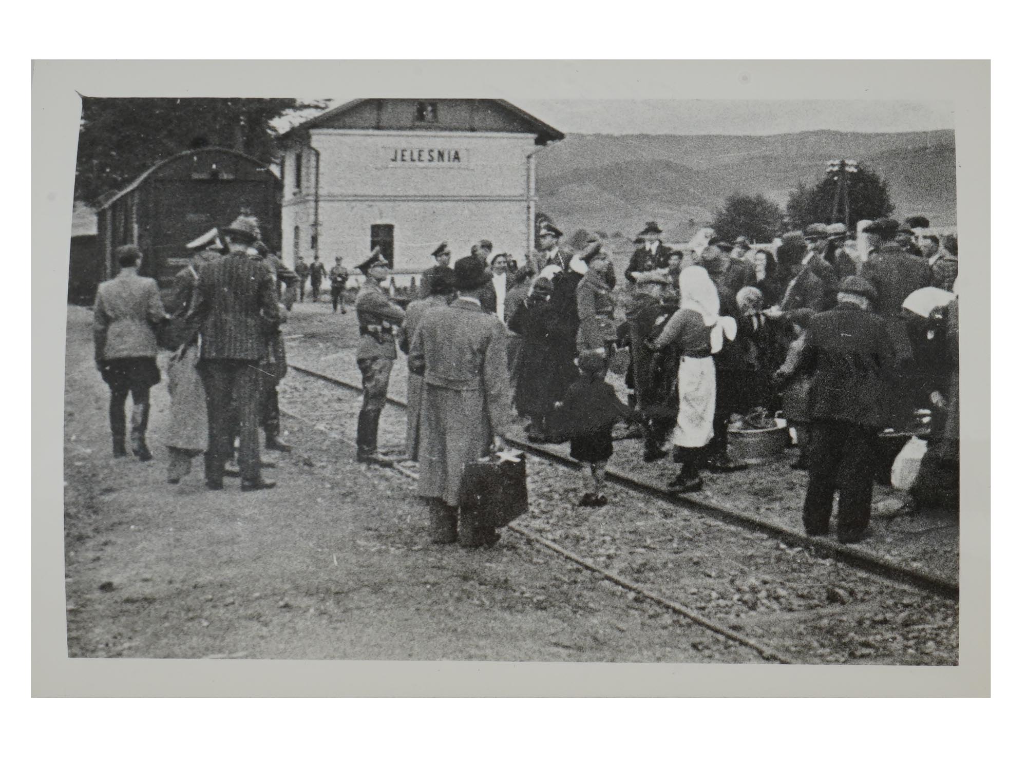 GROUP PHOTOS OF CONCENTRATION CAMPS POLISH ARCHIVES PIC-3