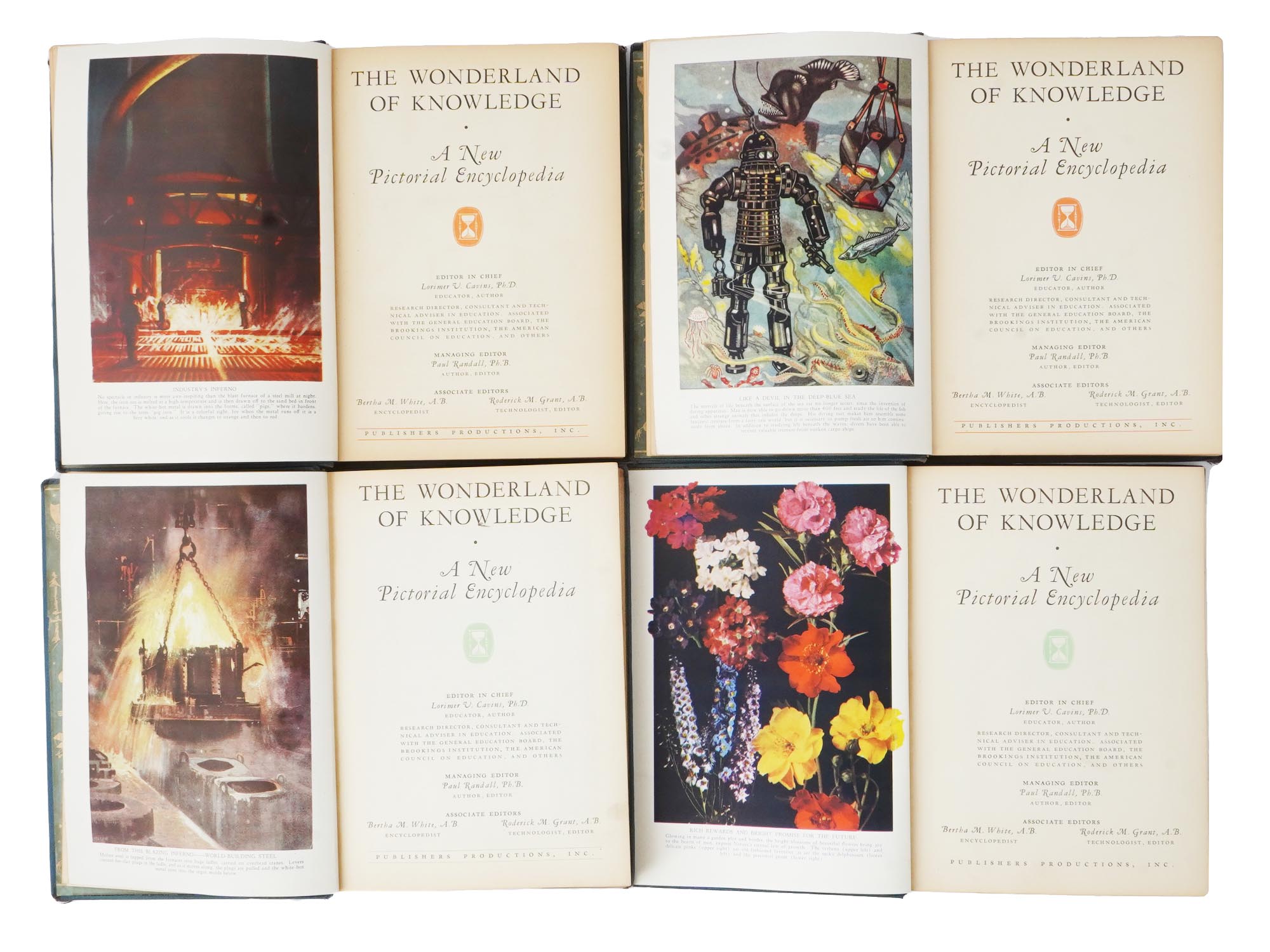 SET OF VINTAGE BOOKS WONDERLAND OF KNOWLEDGE 1938 PIC-5