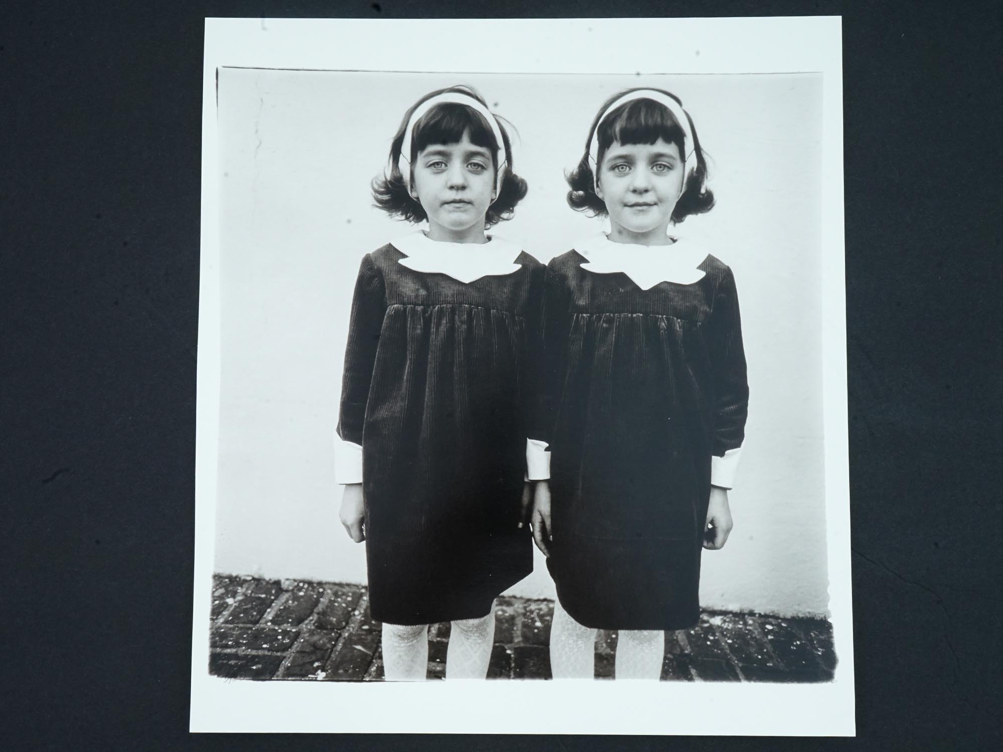 PHOTOGRAVURE AFTER DIANE ARBUS IDENTICAL TWINS 1967 PIC-0