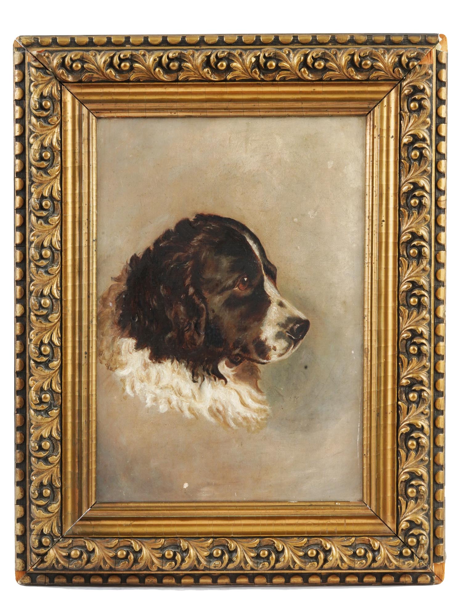 ANTIQUE 19TH C OIL PAINTING PORTRAIT OF A DOG PIC-0