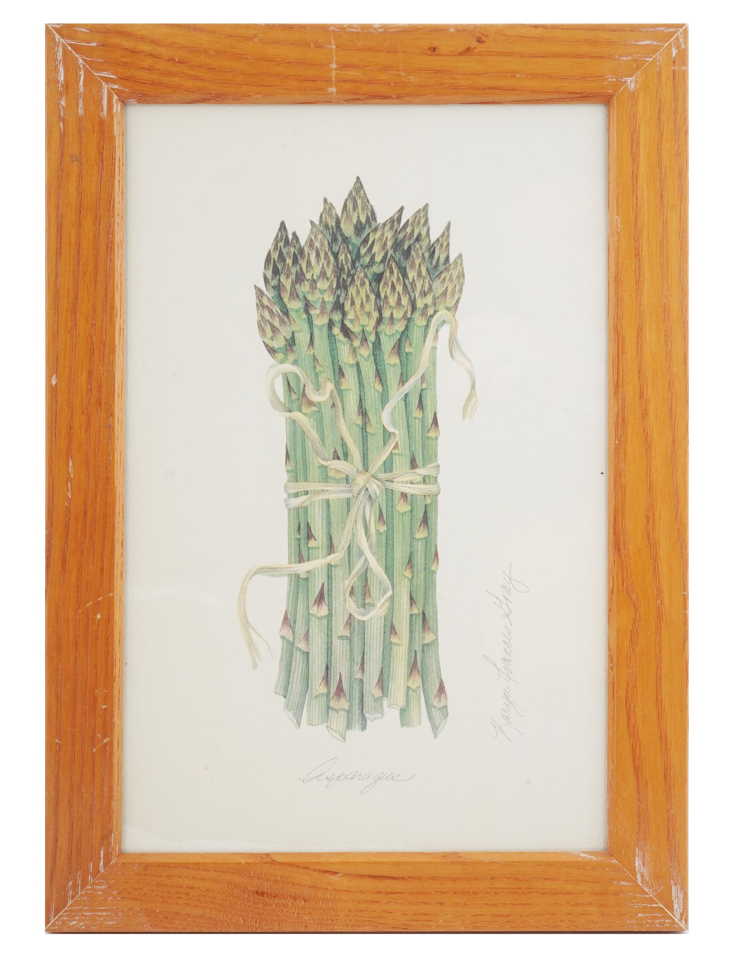 AMERICAN ASPARAGUS COLOR PRINT BY KAREN FRANCES GRAY PIC-0