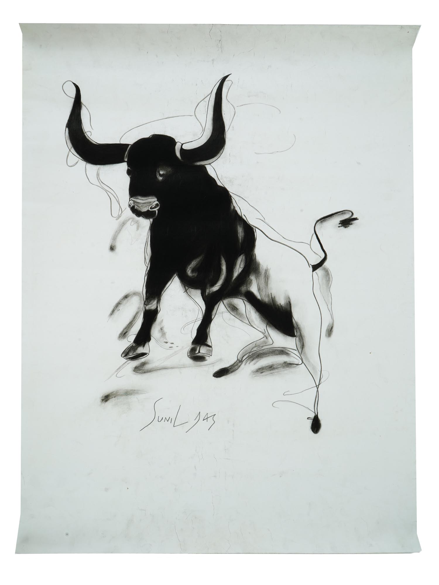 ATTR TO SUNIL DAS INDIAN BULL CHARCOAL PAINTING PIC-0