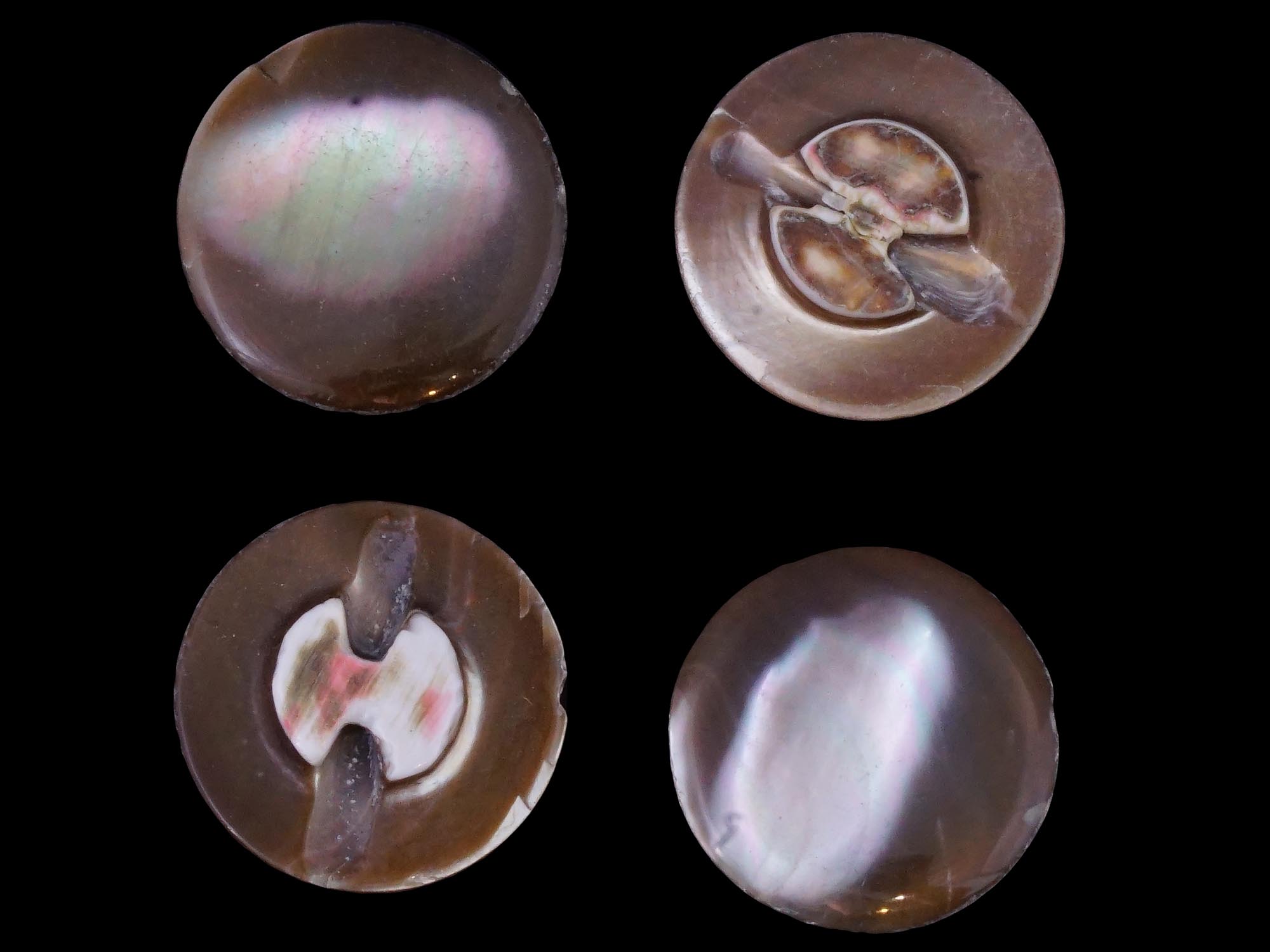 COLLECTION OF TROCHUS SHELL BUTTONS OF VARIOUS COLORS PIC-4