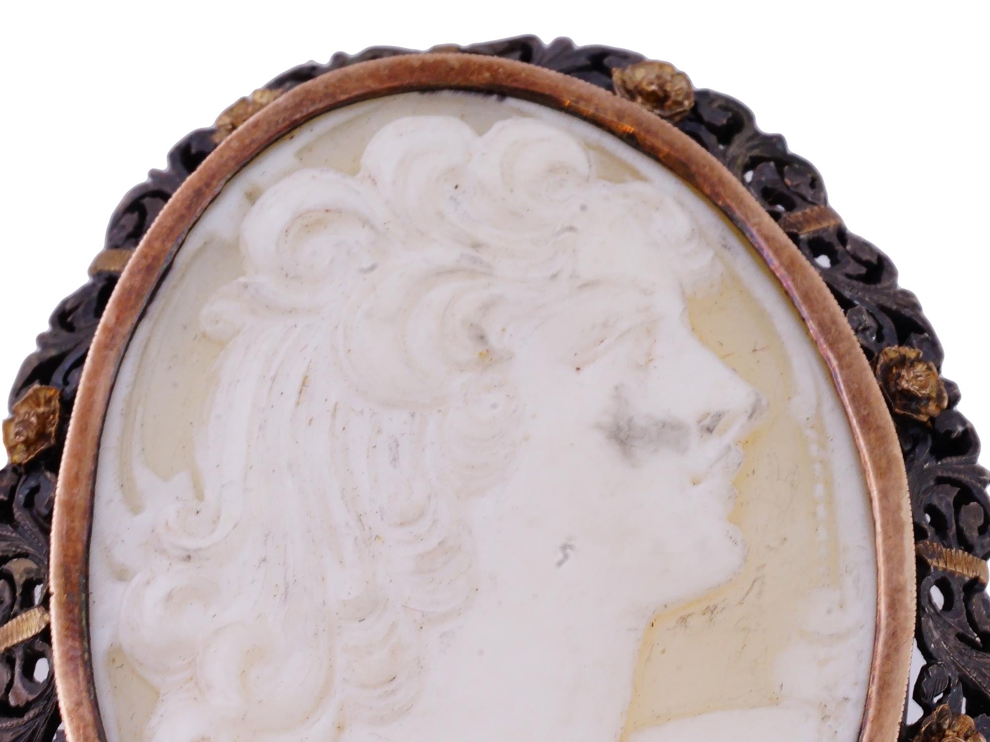 VICTORIAN MANNER PORTRAIT SHELL CAMEO BROOCHES PIC-5