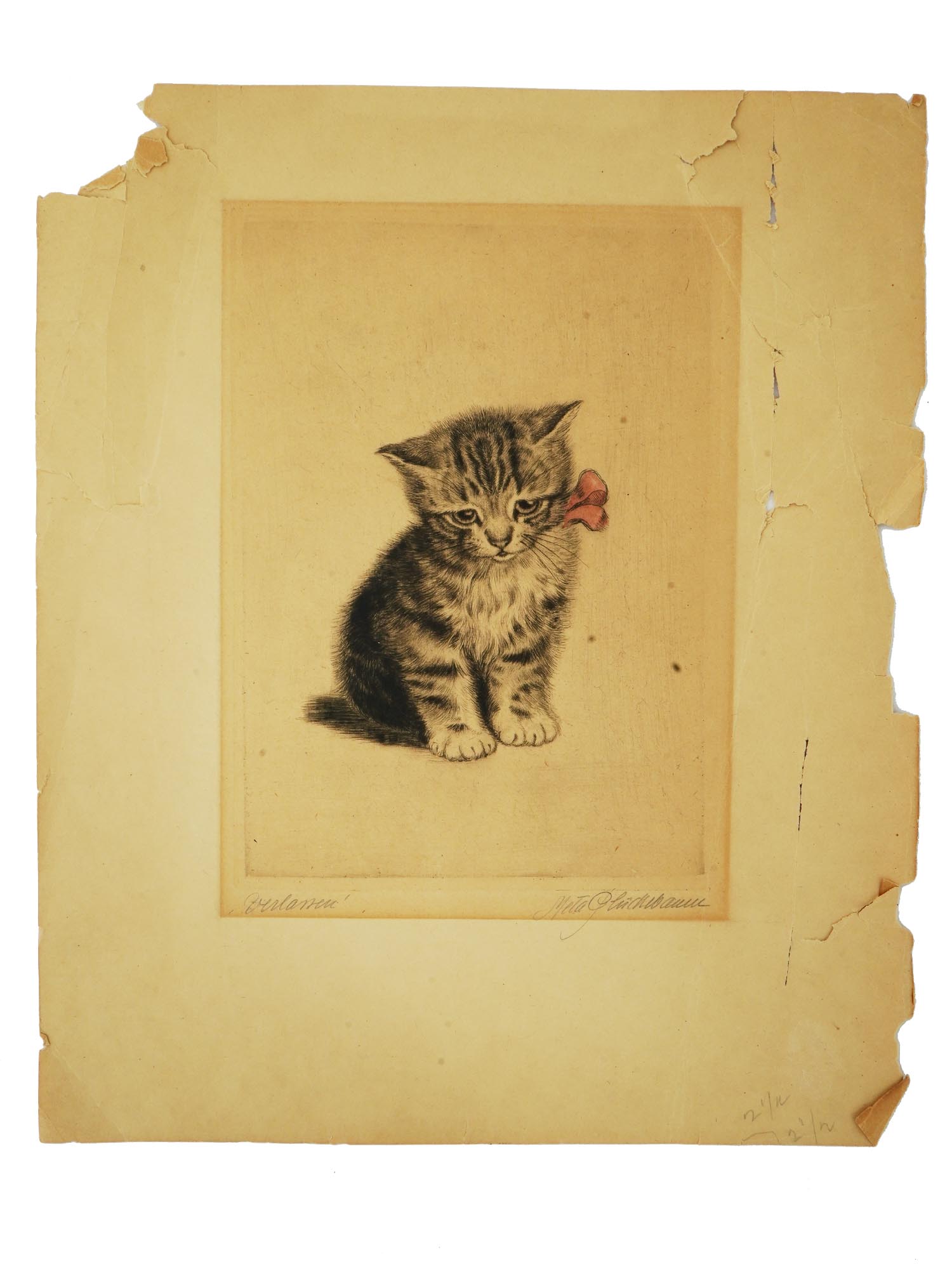 GERMAN CAT PORTRAIT ETCHING BY META PLUCKEBAUM PIC-0