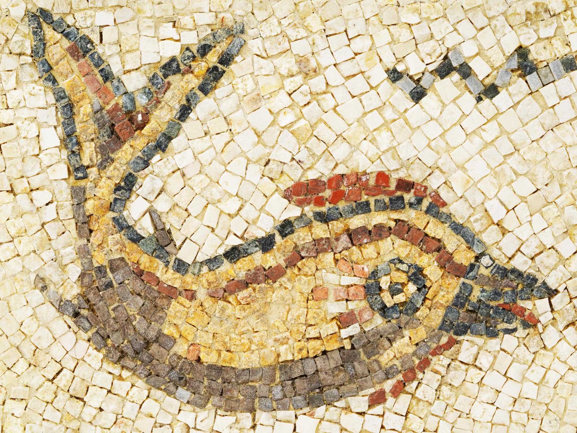 ROMAN MOSAIC WITH THE IMAGE OF A DOLPHIN PIC-1