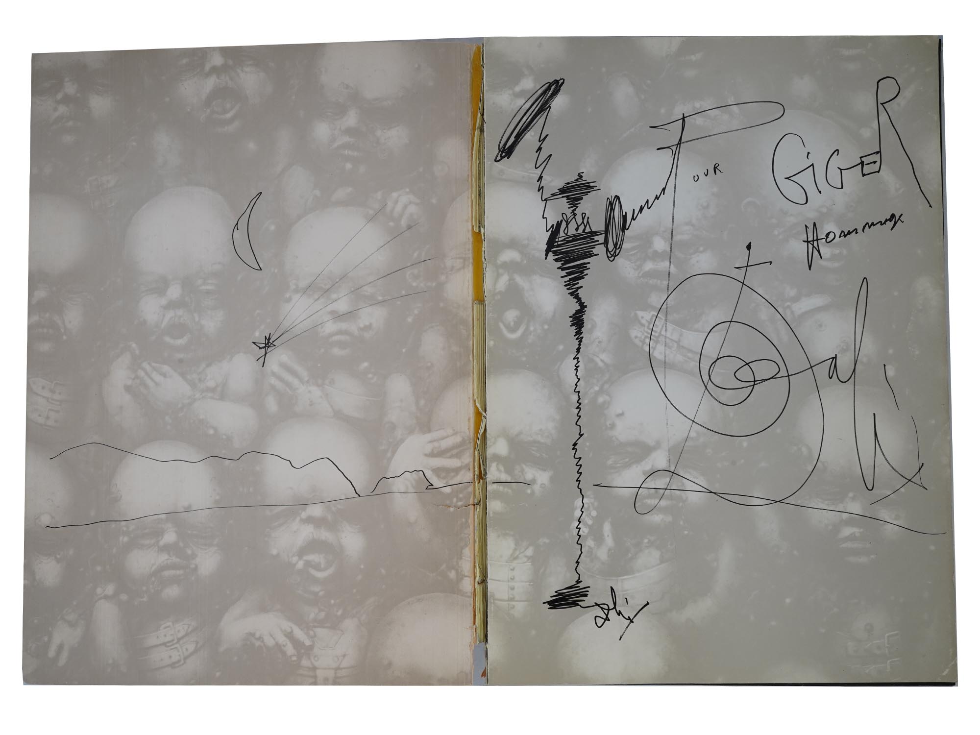 SALVADOR DALI AND HR GIGER ALBUMS WITH AUTOGRAPHS PIC-2