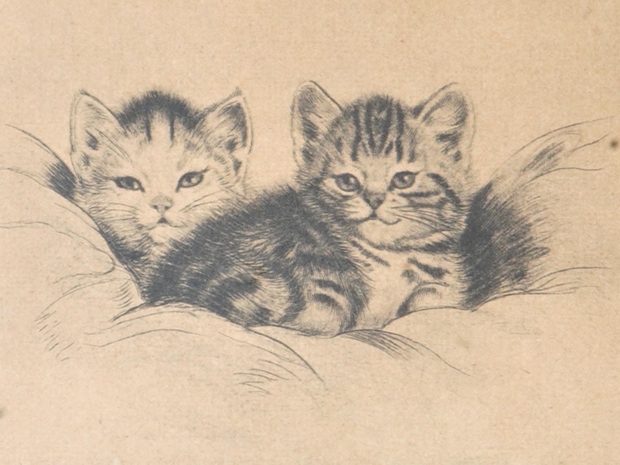 GERMAN OFFSET PRINT OF CATS BY META PLUCKEBAUM PIC-1