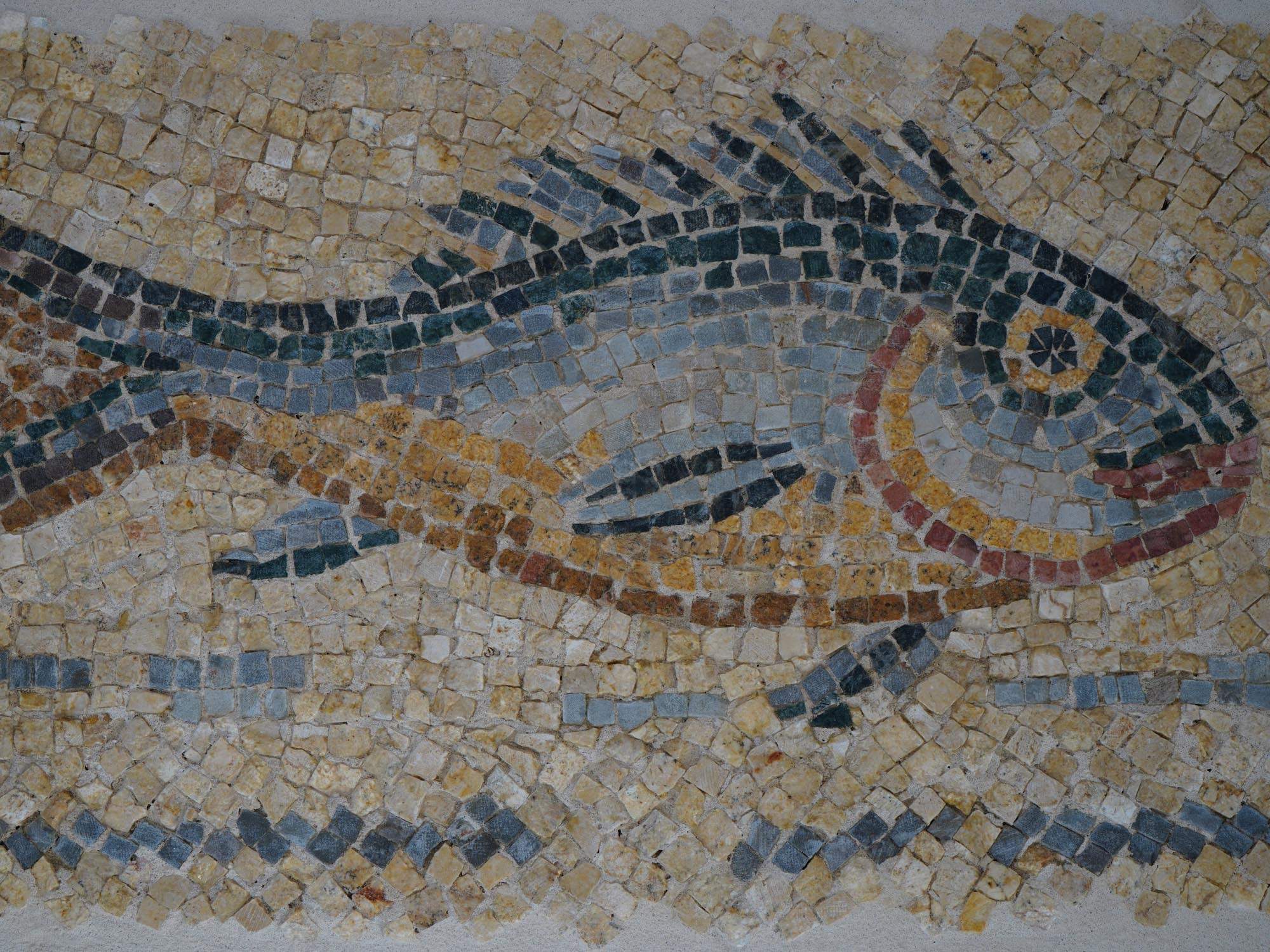 ANCIENT ROMAN PERIOD MOSAIC WITH FISH CA 100 TO 300AD PIC-1