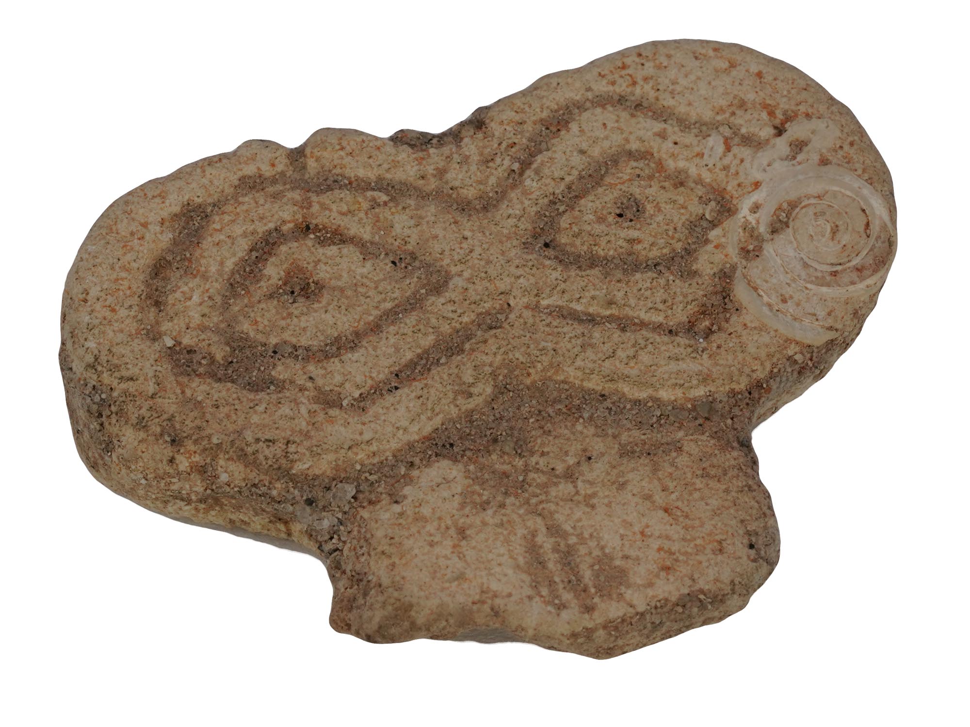 ANCIENT CARVED STONE FRAGMENTS OF EYE IDOLS PIC-4