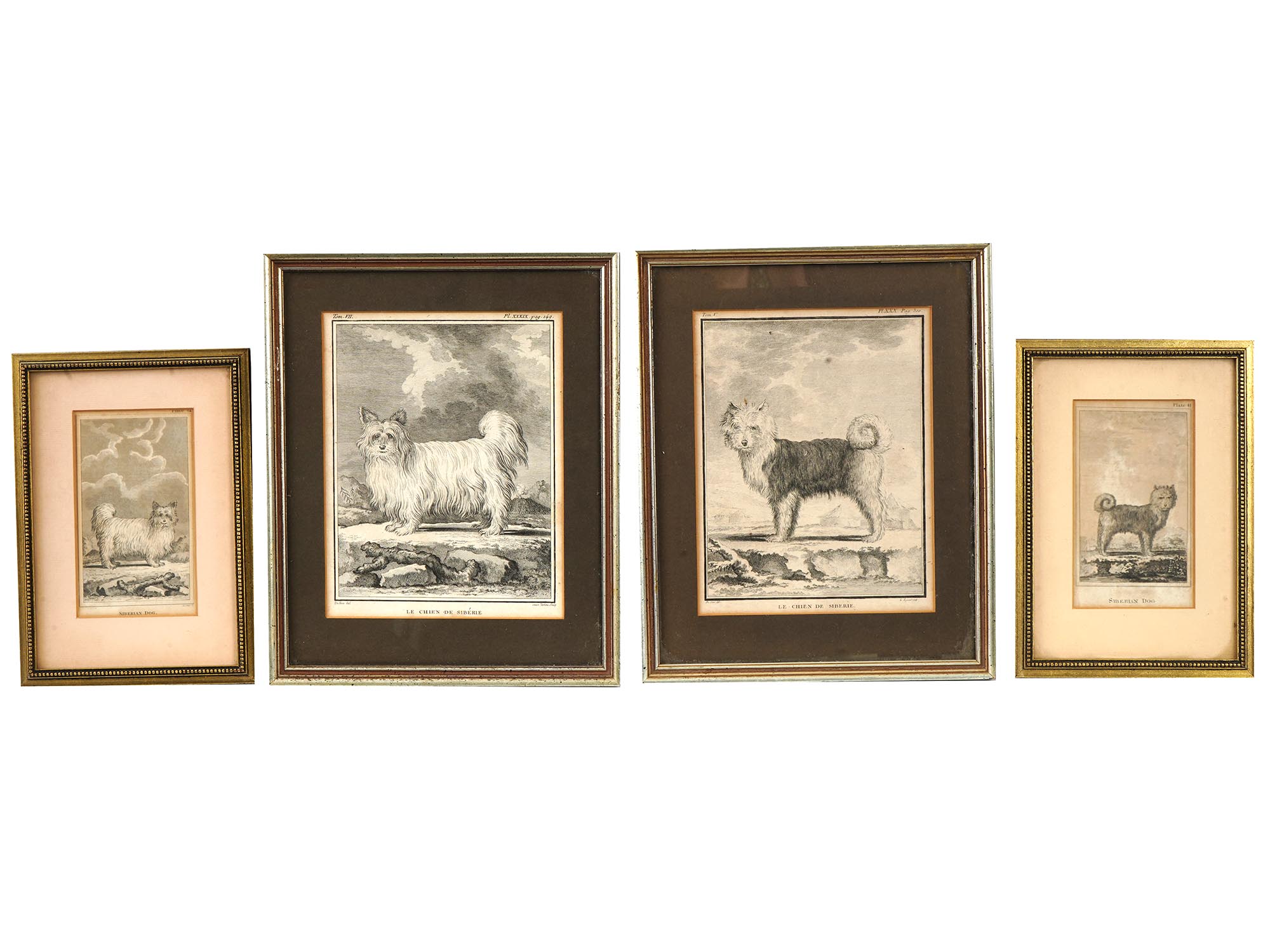 4 FRENCH ENGRAVINGS OF SIBERIAN DOGS BY LEGRAND L PIC-0