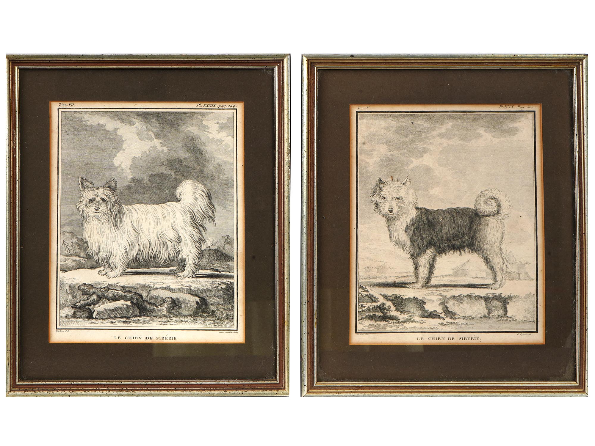 4 FRENCH ENGRAVINGS OF SIBERIAN DOGS BY LEGRAND L PIC-1