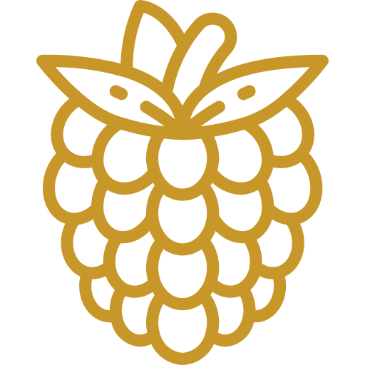 Frambuesa