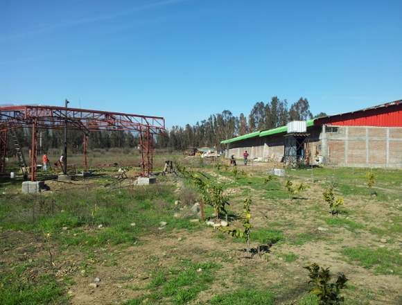 Parcela Con Casa Y Bodega (acepto Ofertas)