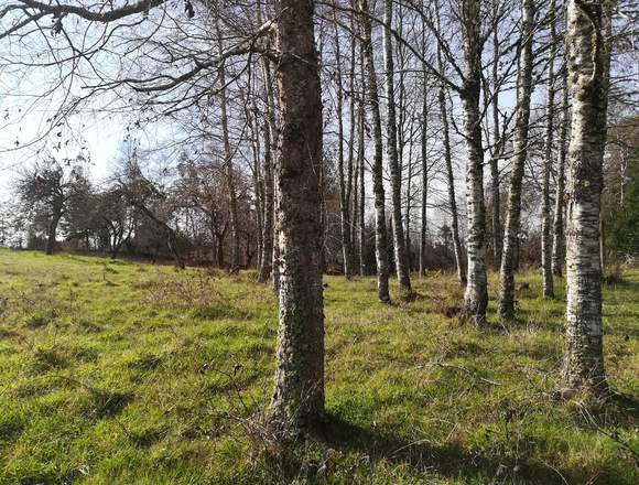 venta terreno agrícola a 20 min de villarrica