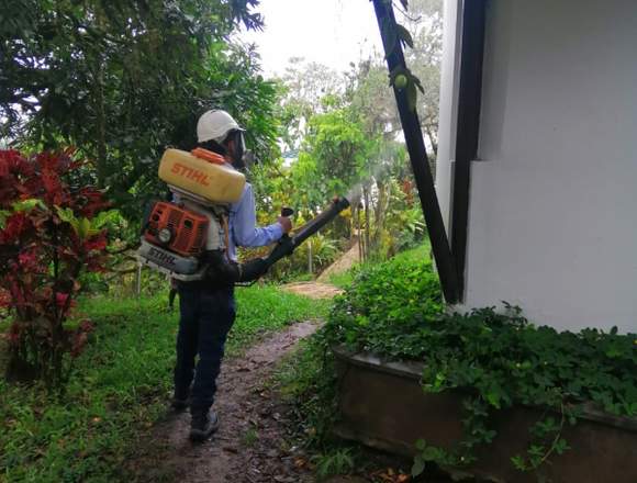 SERVICIO DE FUMIGACIÓN PARA EL CONTROL DE PLAGAS 