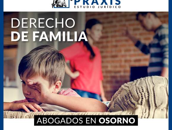 Abogados de Derecho de Familia en Osorno