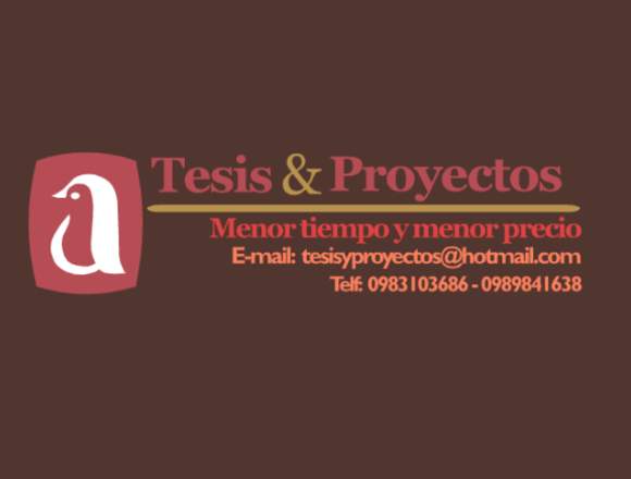 Servicio de realización Tesis y Proyectos 