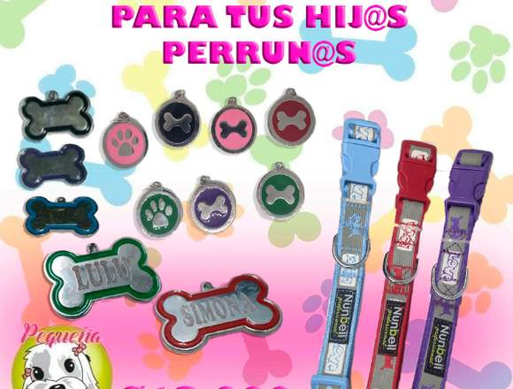 PLACAS CON COLLAR NUNBELL PARA PERROS 0202012