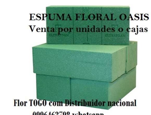 Distribuidor De Espuma Floral Por Caja Y Unidades 