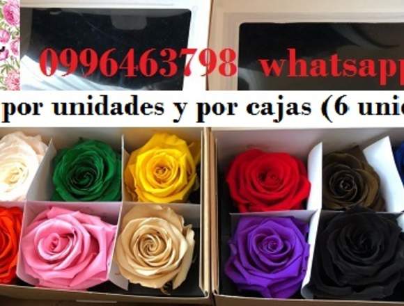 Flores Preservadas Eternas Por Unidades o cajas