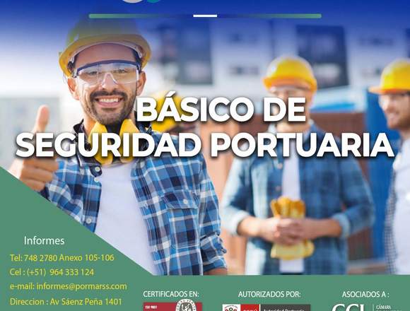 Curso Básico de seguridad Portuaria