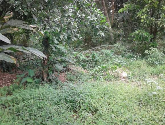 Venta de finca en San Miguel, Via Volcán 