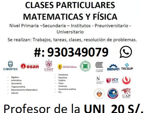 Profesor Universitario