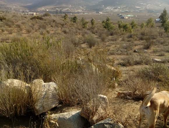 Venta de Terreno Valle de Elqui