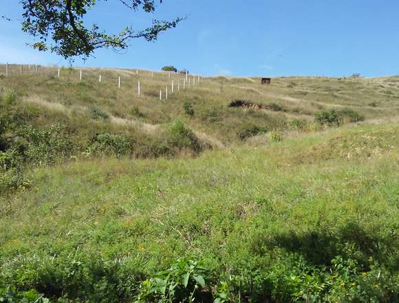 DE OPORTUNIDAD: parcela para rancho o granja