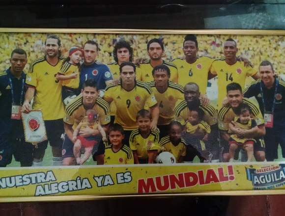 Dos cuadros de la selección Colombia