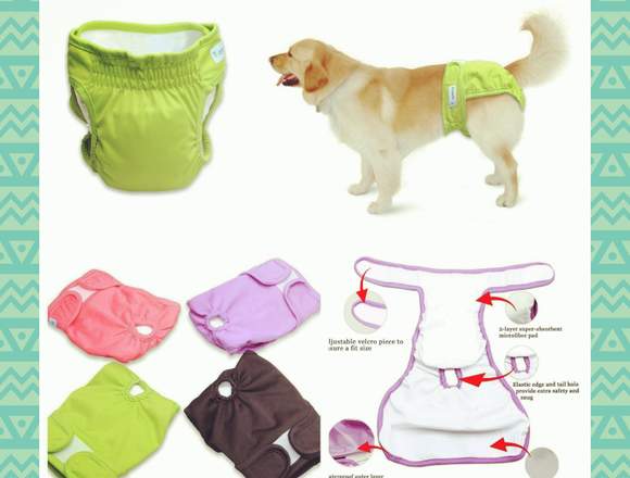 Pañales reutilizables para mascotas 