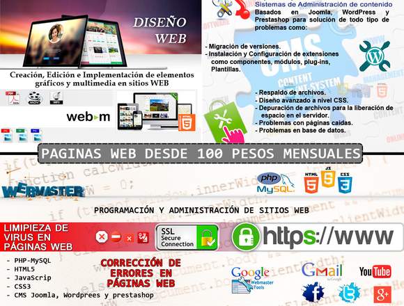WEBMaster profesional (Virus en páginas, Soporte)