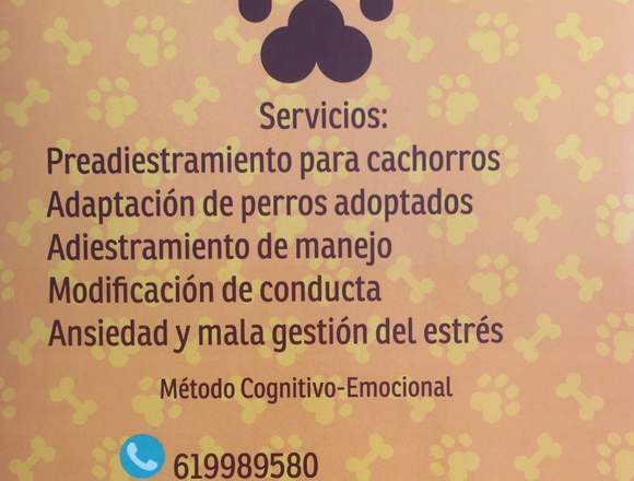 Canis Educación canina 