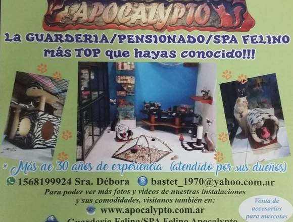 Guardería SPA Felina Apocalypto