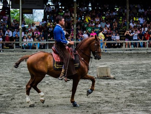 Actividades para empresas en PANACA 