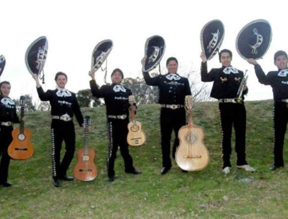 Mariachis, serenata, show, animación, eventos