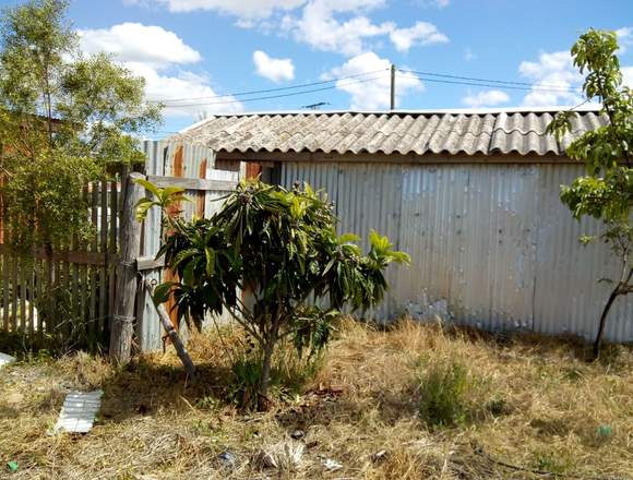 Parcela  de 5000mts2 con casa a 15 min de Chillán