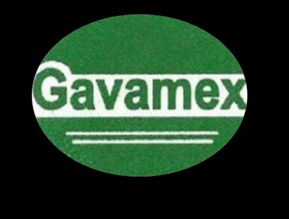 GALVANIZADORA DEL VALLE DE MEXICO - GAVAMEX