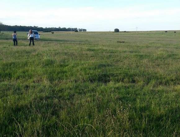 Venta de Campo en Argentina Buenos Aires