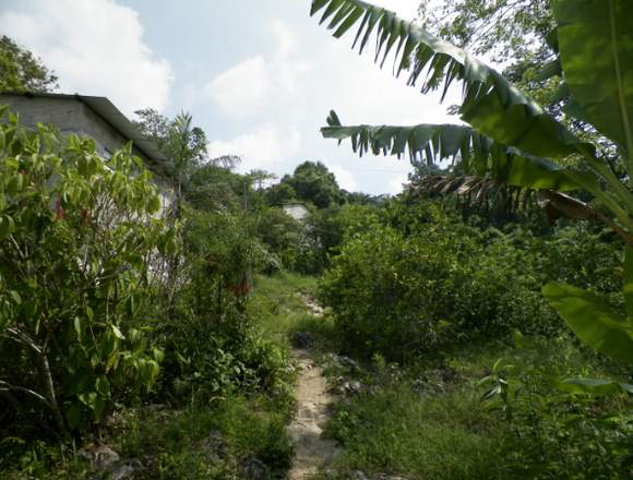 Vendemos hermoso rancho con aagua