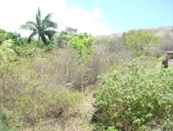 vendo terreno en margarita cocheima la asuncion 