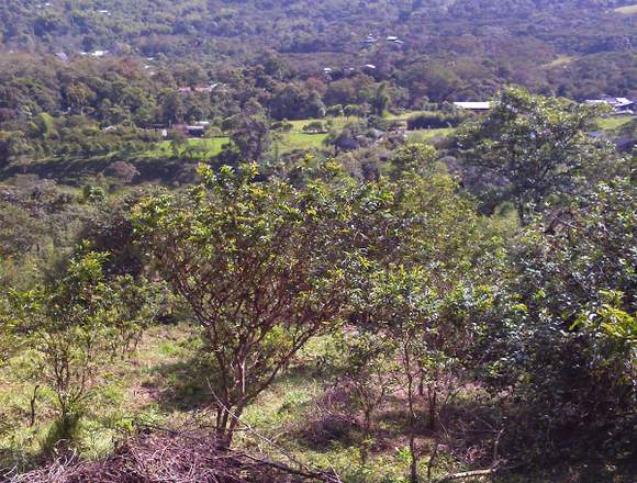 Terreno en venta en la via a las cascadas de Mindo