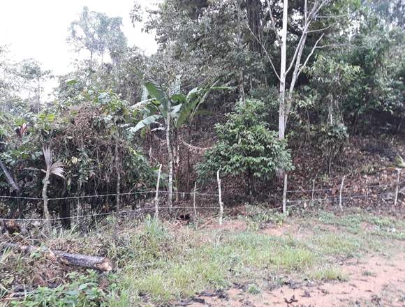 SE VENDE HERMOSO TERRENO 10.000 M EN PUERTO QUITO