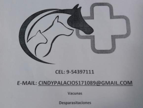 MEDICO VETERINARIO A DOMICILIO +569 54397111