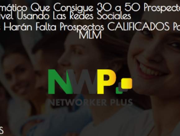 Networker Plus Marketing